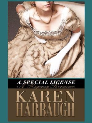 Cover of the book A Special License by Charlotte Louise Dolan