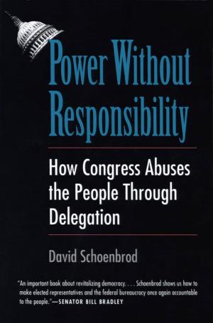 Cover of the book Power Without Responsibility by Mr. Craig Harline