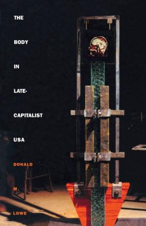 Cover of the book The Body in Late-Capitalist USA by Maarten A. Hajer, Robert Hoppe, Bruce Jennings