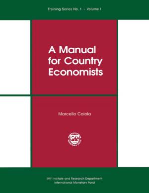 Cover of the book A Manual for Country Economists by Georg Mr. Winckler