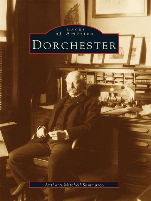 Cover of the book Dorchester by Anthony Mitchell Sammarco, Arcadia Publishing Inc.