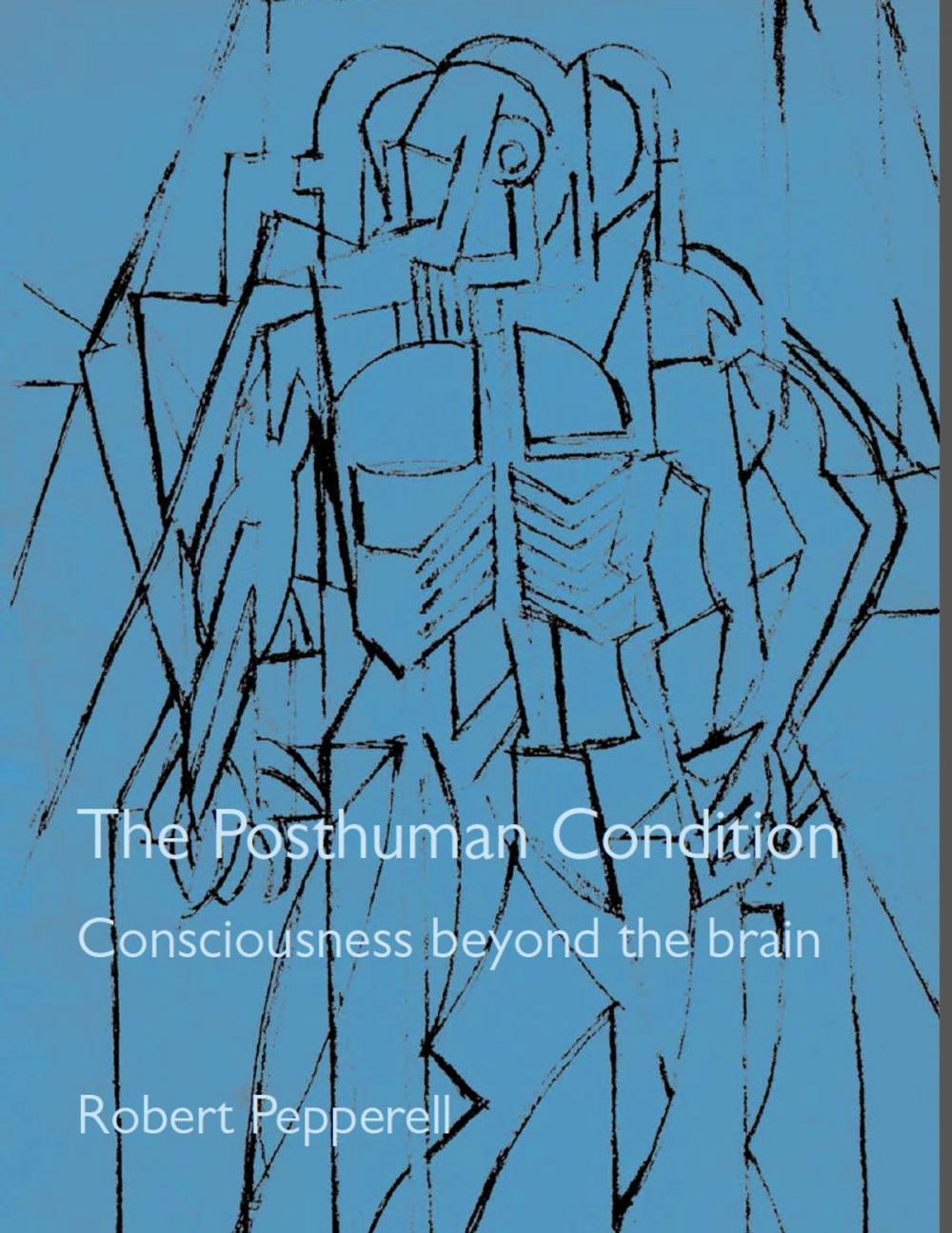 Big bigCover of The Posthuman Condition