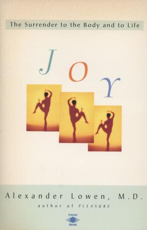 Cover of the book Joy by Georges Simenon