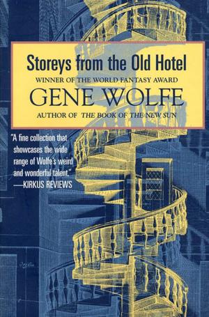 Cover of the book Storeys from the Old Hotel by Carrie Jones, Steven E. Wedel