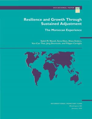 Book cover of Resilience and Growth Through Sustained Adjustment: The Moroccan Experience