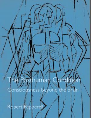 Book cover of The Posthuman Condition