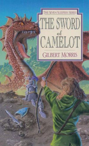bigCover of the book The Sword of Camelot by 