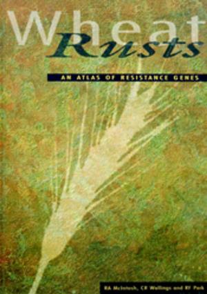 Cover of the book Wheat Rusts by Menna Jones, Mike Archer, Chris Dickman