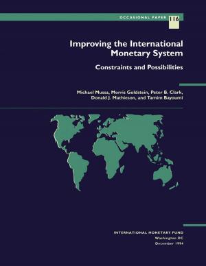 Cover of the book Improving the International Monetary System: Constraints and Possibilities by Rattan Bhatia
