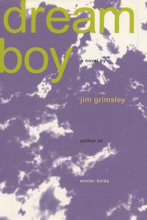 Book cover of Dream Boy