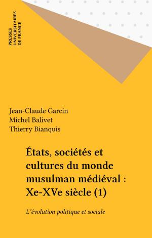 Cover of the book États, sociétés et cultures du monde musulman médiéval : Xe-XVe siècle (1) by Luc Benoist, Paul Angoulvent