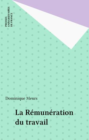 Cover of the book La Rémunération du travail by Julien Bauer