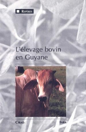 Cover of the book L'élevage bovin en Guyane by Daou Véronique Joiris, Patrice Bigombé Logo