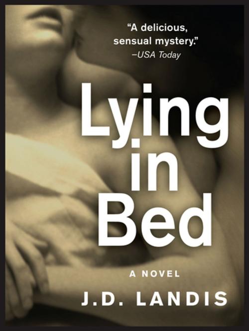 Cover of the book Lying in Bed by J.D. Landis, Workman Publishing