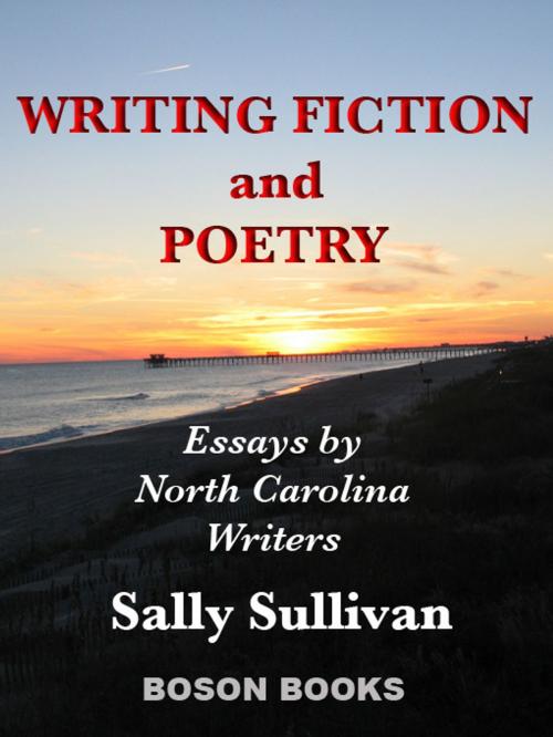 Cover of the book Writing Fiction and Poetry: Essays by North Carolina Writers by , Bitingduck Press