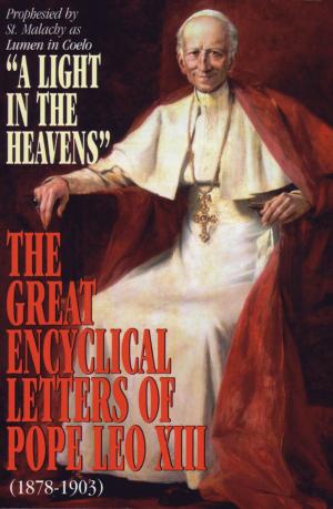 Cover of the book A Light in the Heavens by Cardinal John Henry Newman
