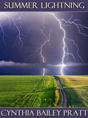 Book cover of Summer Lightning