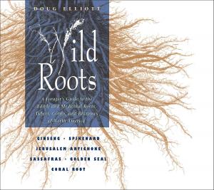 Cover of the book Wild Roots by Bethany Patchin