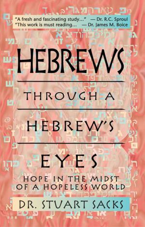 Cover of the book Hebrew's Through A Hebrew's Eyes by Dr. Jeffrey L. Seif