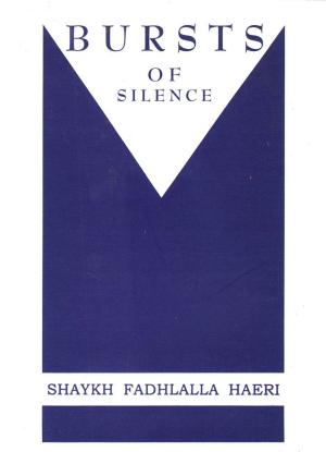 bigCover of the book Bursts of Silence by 