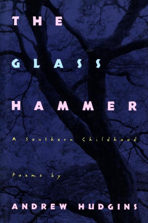 Cover of the book The Glass Hammer by Andrew Hudgins, HMH Books