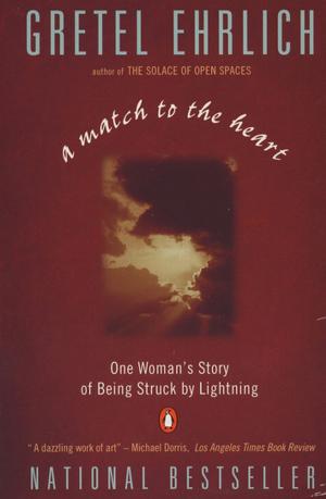 Cover of the book A Match to the Heart by Chris Kuzneski