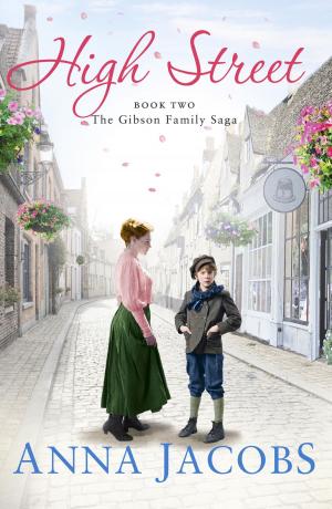 Cover of the book High Street by Ethan Greenhart