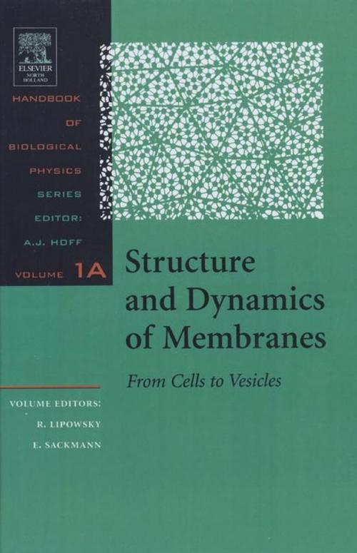 Cover of the book Structure and Dynamics of Membranes by , Elsevier Science