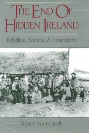 Cover of the book The End of Hidden Ireland by Susan A. Gelman