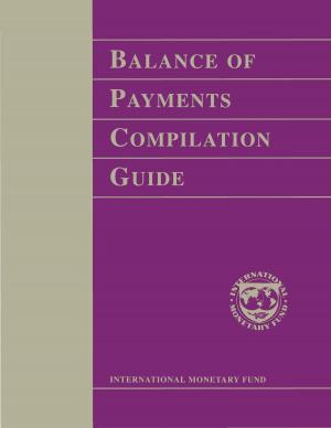 bigCover of the book Balance of Payments Compilation Guide by 