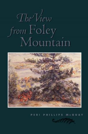 Book cover of The View from Foley Mountain