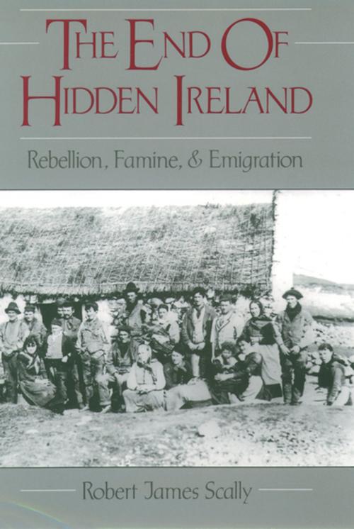 Cover of the book The End of Hidden Ireland by Robert Scally, Oxford University Press