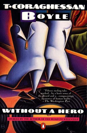 Cover of the book Without a Hero by Maureen Ash