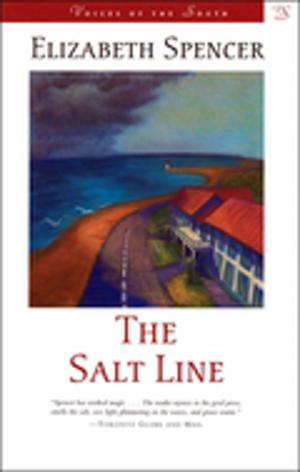 Cover of the book The Salt Line by Susan Larson