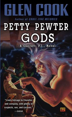 Cover of the book Petty Pewter Gods by John A. Connor