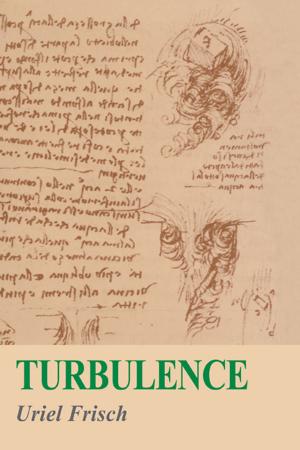 Cover of the book Turbulence by Jonathan Hafetz