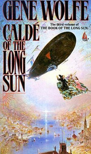 Cover of the book Calde of the Long Sun by C.M. Halstead