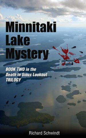 Book cover of Minnitaki Lake Mystery