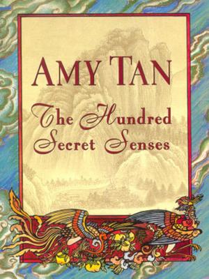 Cover of the book The Hundred Secret Senses by Aesop