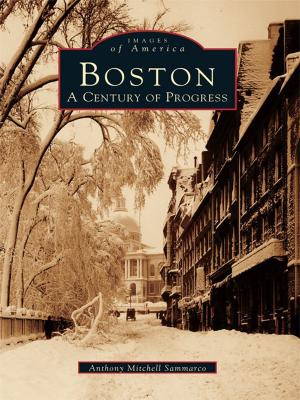 Cover of the book Boston by Carol O'Keefe Wilson