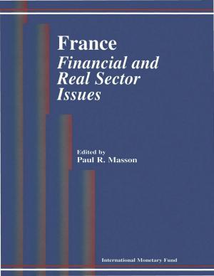bigCover of the book France: Financial and Real Sector Issues by 