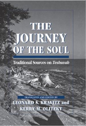 Cover of the book The Journey of the Soul by Daniel W. Badal