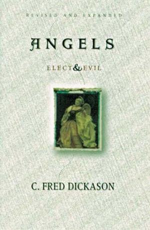 Cover of the book Angels Elect and Evil by Paul McCauley, David Williamson