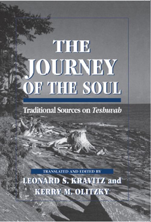 Cover of the book The Journey of the Soul by Leonard S. Kravitz, Kerry M. Olitzky, Jason Aronson, Inc.