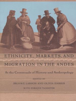 Cover of the book Ethnicity, Markets, and Migration in the Andes by Jane Eppinga