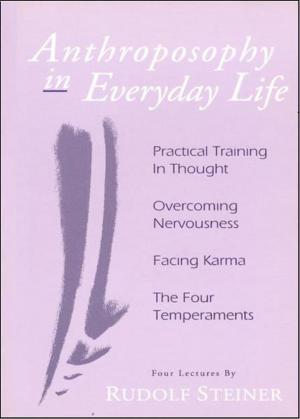Cover of the book Anthroposophy in Everyday Life by Rudolf Steiner, Paul Allen