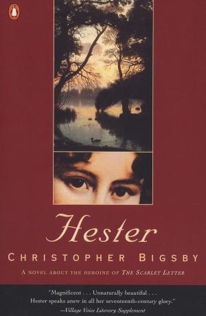 Cover of the book Hester by Jan DeLima