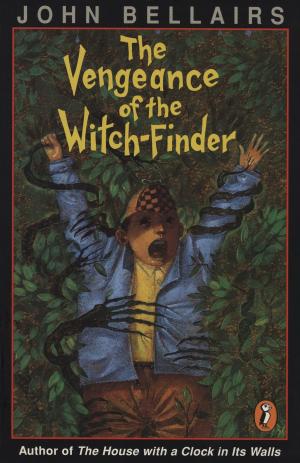 Book cover of The Vengeance of the Witch-Finder