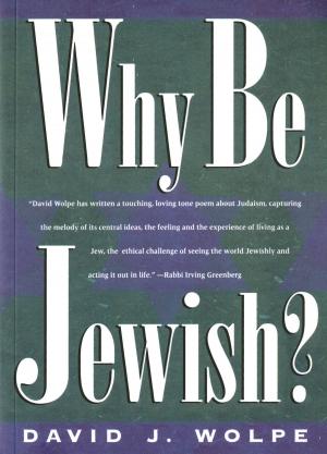 Cover of the book Why Be Jewish? by Robert M. Utley