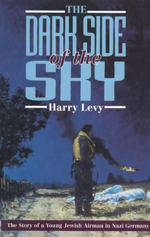Cover of the book The Dark Side of the Sky by J. D. Davies